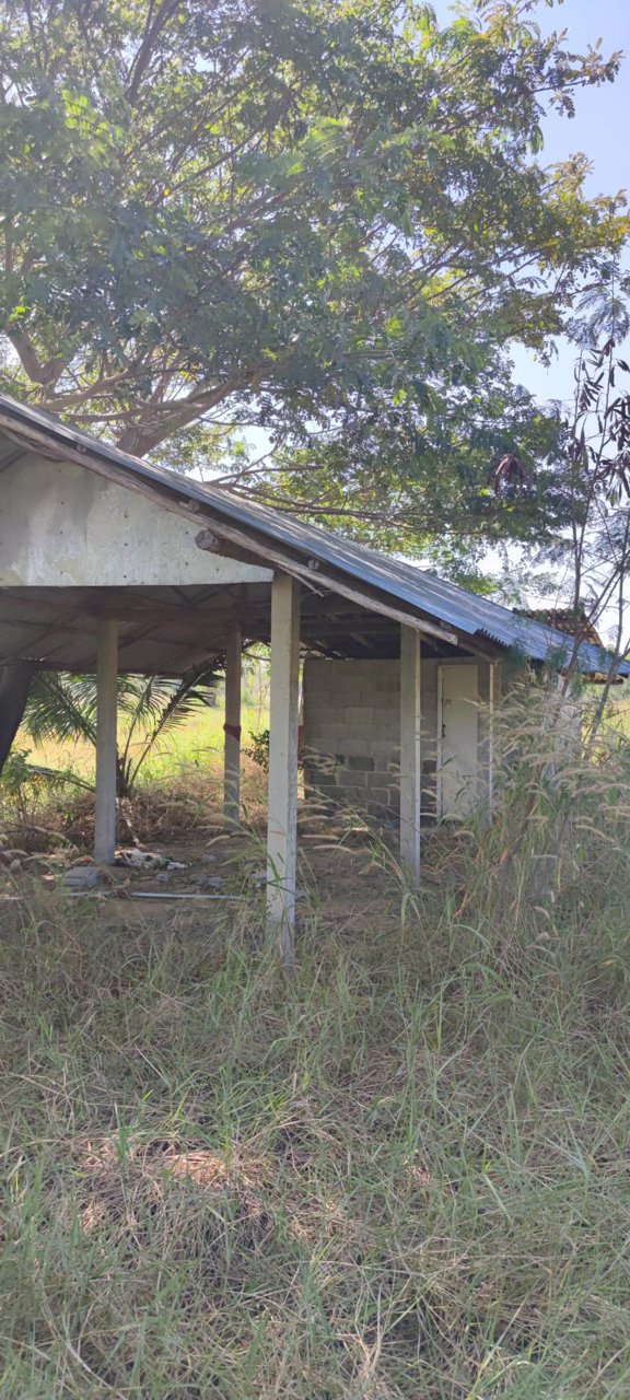 ขายที่ดินสวยราคาถูกติดถนน-3-ไร่-2-งาน-12-ตารางวา-ตพระบุ-อพระยืน-จขอนแก่น