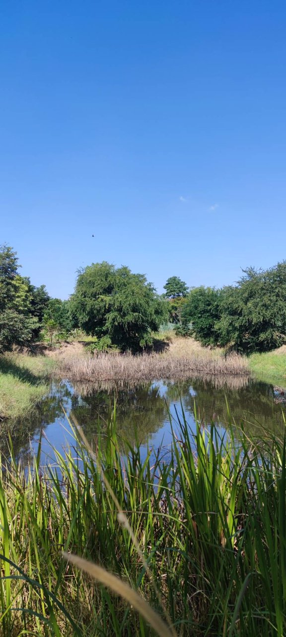 ขายที่ดินสวยราคาถูกติดถนน-3-ไร่-2-งาน-12-ตารางวา-ตพระบุ-อพระยืน-จขอนแก่น