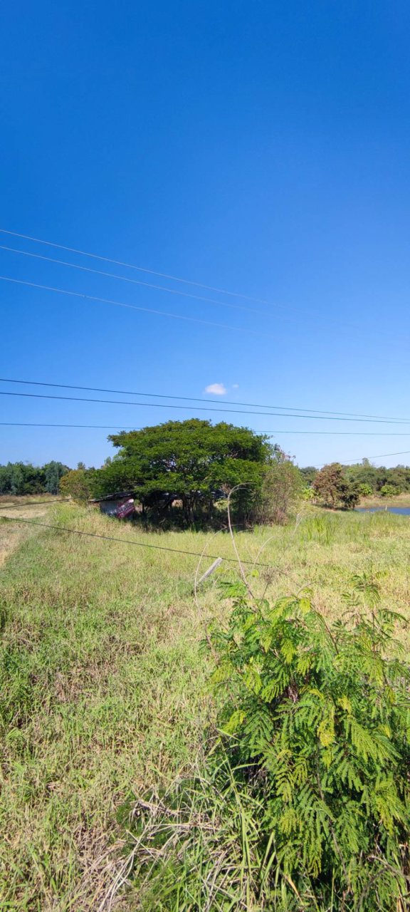 ขายที่ดินสวยราคาถูกติดถนน-3-ไร่-2-งาน-12-ตารางวา-ตพระบุ-อพระยืน-จขอนแก่น