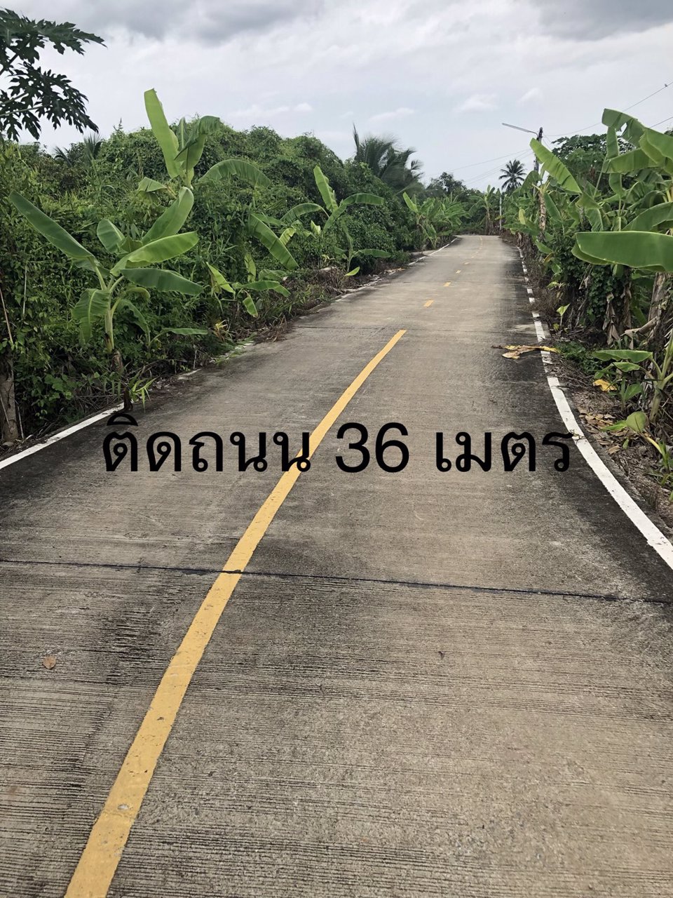 ขาย-ที่ดิน-ติดแม่น้ำท่าจีน-ฝั่งแหลมดินงอก-กระทุ่มแบน-สมุทรสาคร-เจ้าของขายเอง-