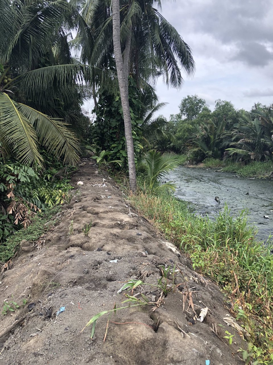 ขาย-ที่ดิน-ติดแม่น้ำท่าจีน-ฝั่งแหลมดินงอก-กระทุ่มแบน-สมุทรสาคร-เจ้าของขายเอง-