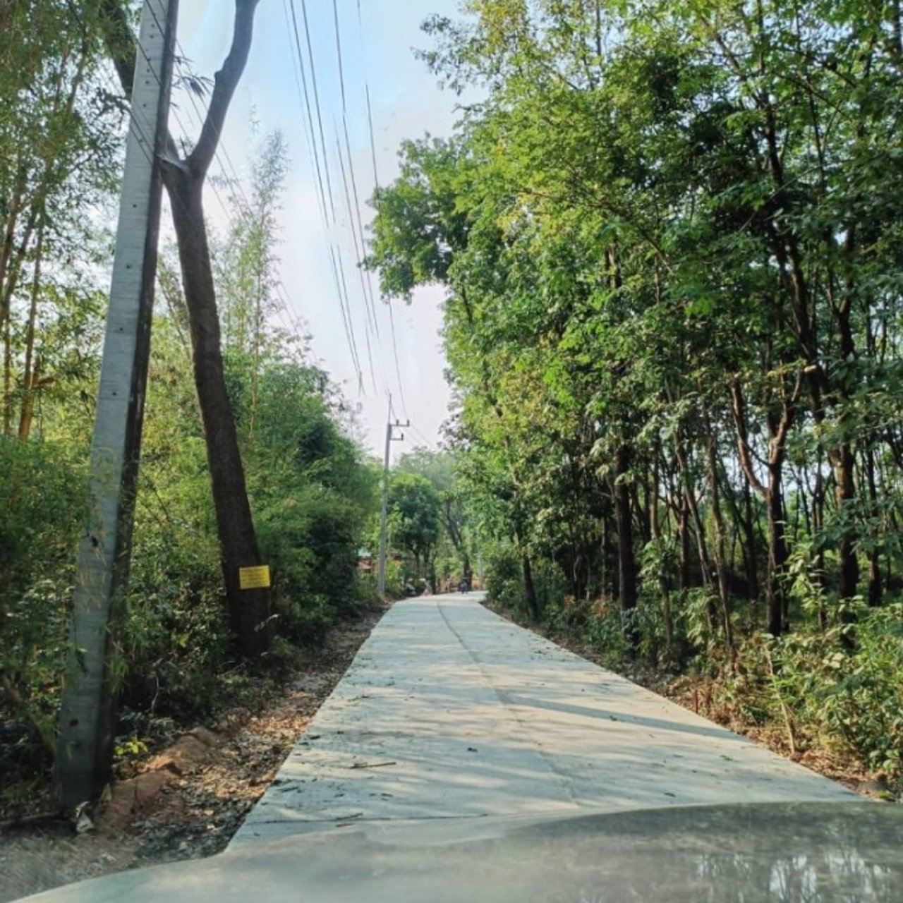 ขายที่ดิน-292ตรว-ราคา-390000บาท