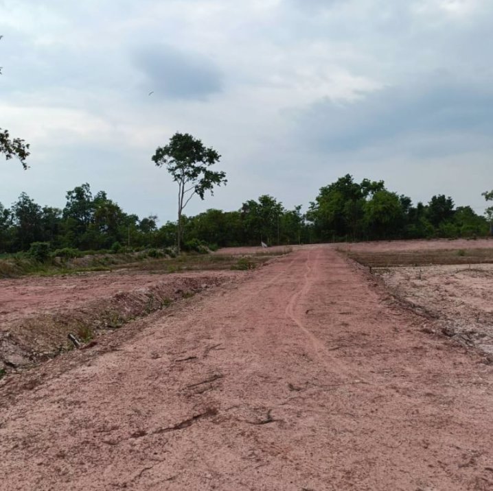 ขายที่ดิน-292ตรว-ราคา-390000บาท