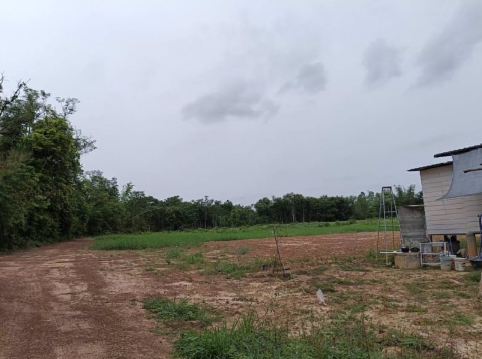 ขายที่ดินติดบ้านคน-2ไร่-3งาน16ตรว-ราคายกแปลง690000บาทโฉนด-กู้ได้-