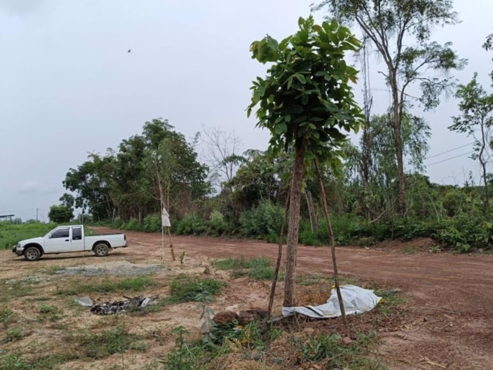 ขายที่ดินติดบ้านคน-2ไร่-3งาน16ตรว-ราคายกแปลง690000บาทโฉนด-กู้ได้-