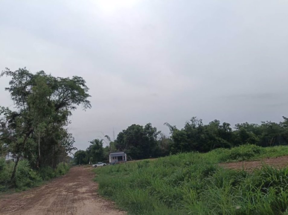 ขายที่ดินติดบ้านคน-2ไร่-3งาน16ตรว-ราคายกแปลง690000บาทโฉนด-กู้ได้-