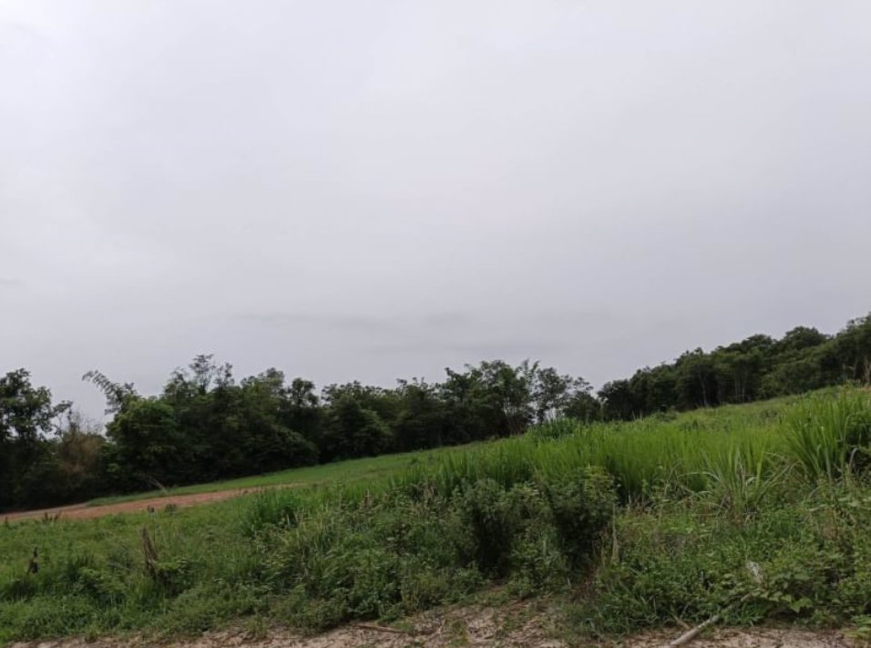 ขายที่ดินติดบ้านคน-2ไร่-3งาน16ตรว-ราคายกแปลง690000บาทโฉนด-กู้ได้-