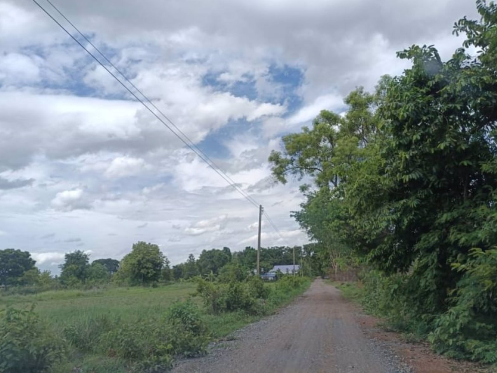 ขายที่ดิน117ตรว-ราคา149000บาท-ผ่อนวัน100บาท-