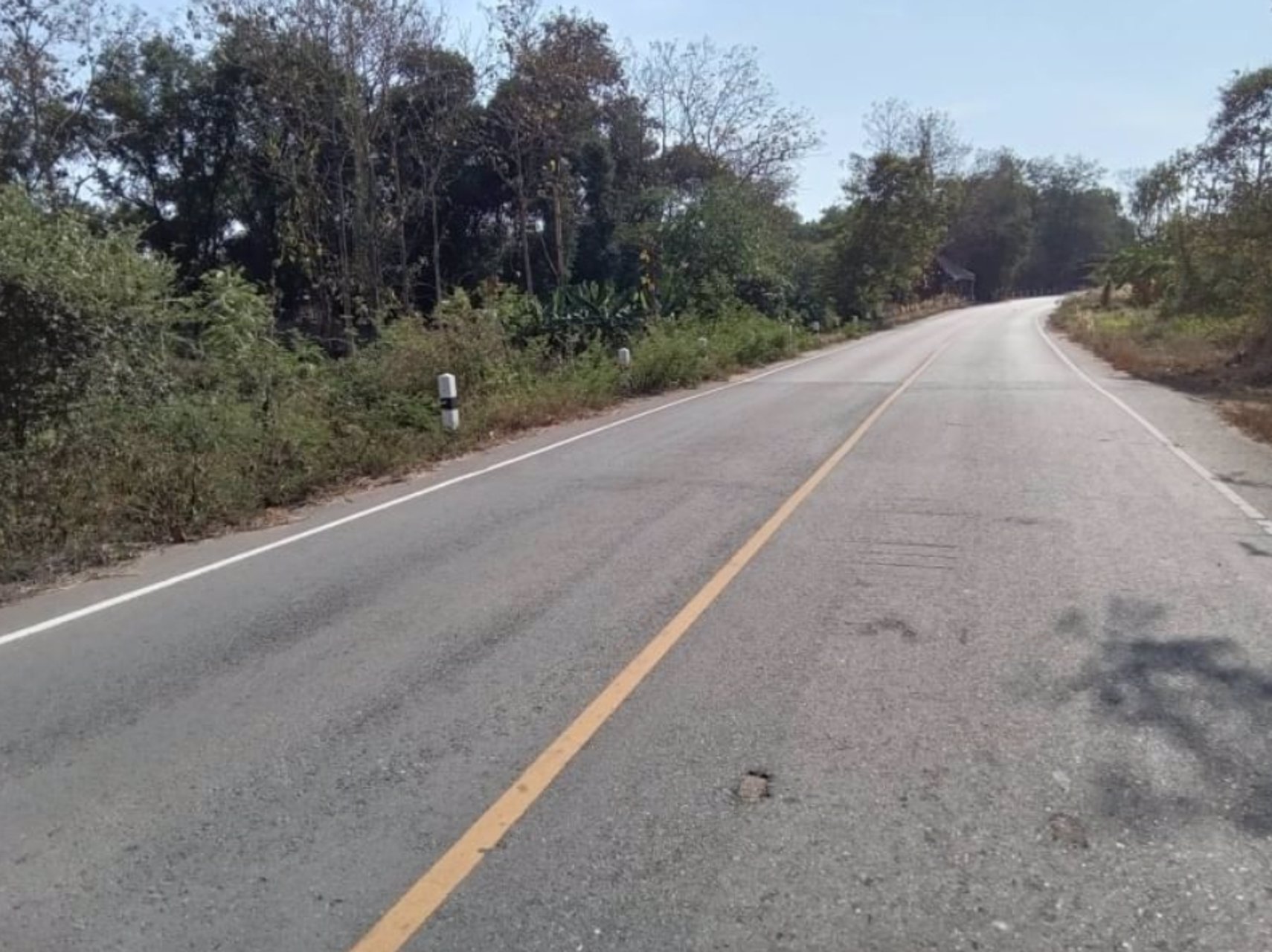 ขายที่ดิน117ตรว-ราคา149000บาท-ผ่อนวัน100บาท-