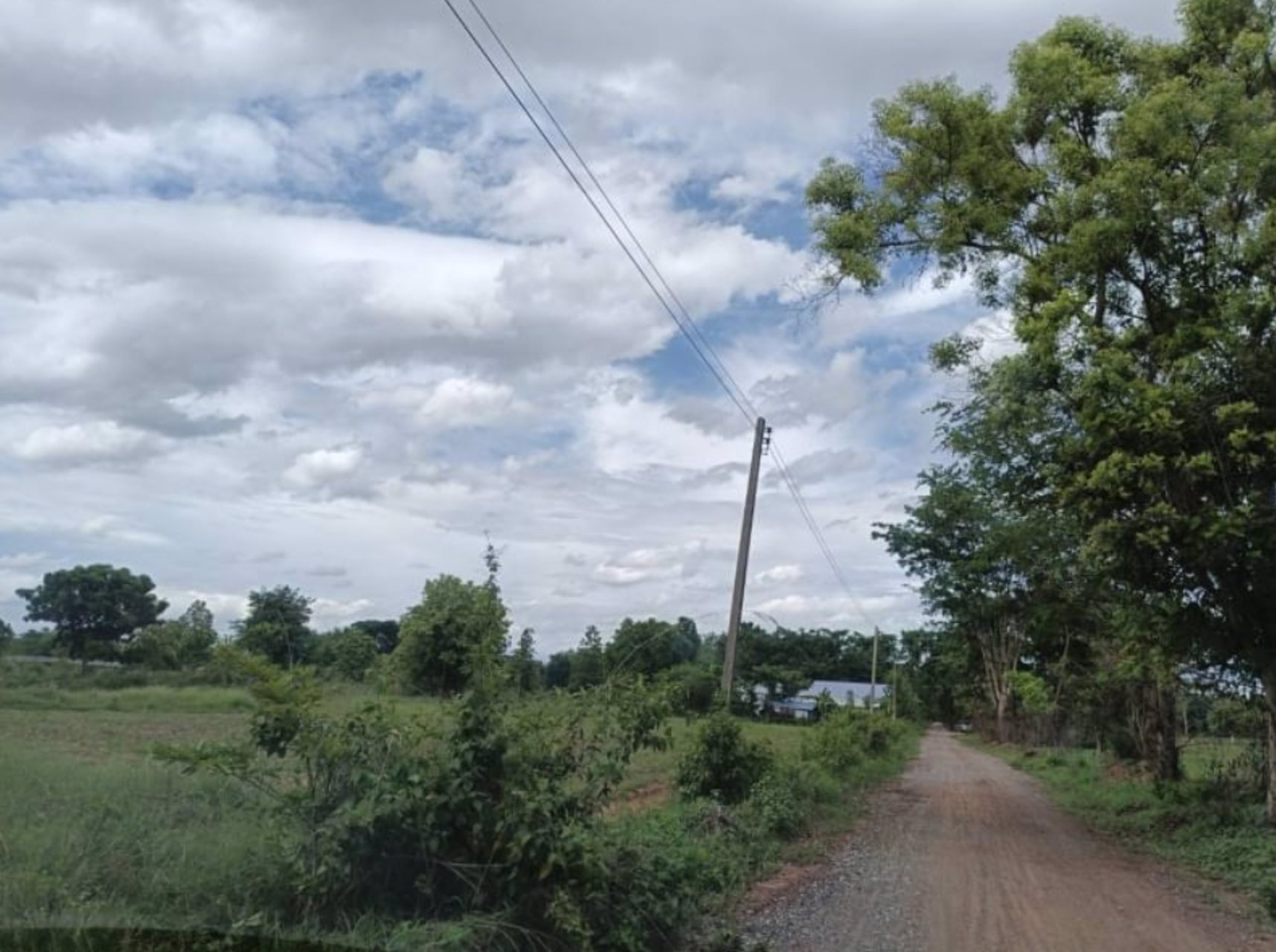 ขายที่ดิน117ตรว-ราคา149000บาท-ผ่อนวัน100บาท-