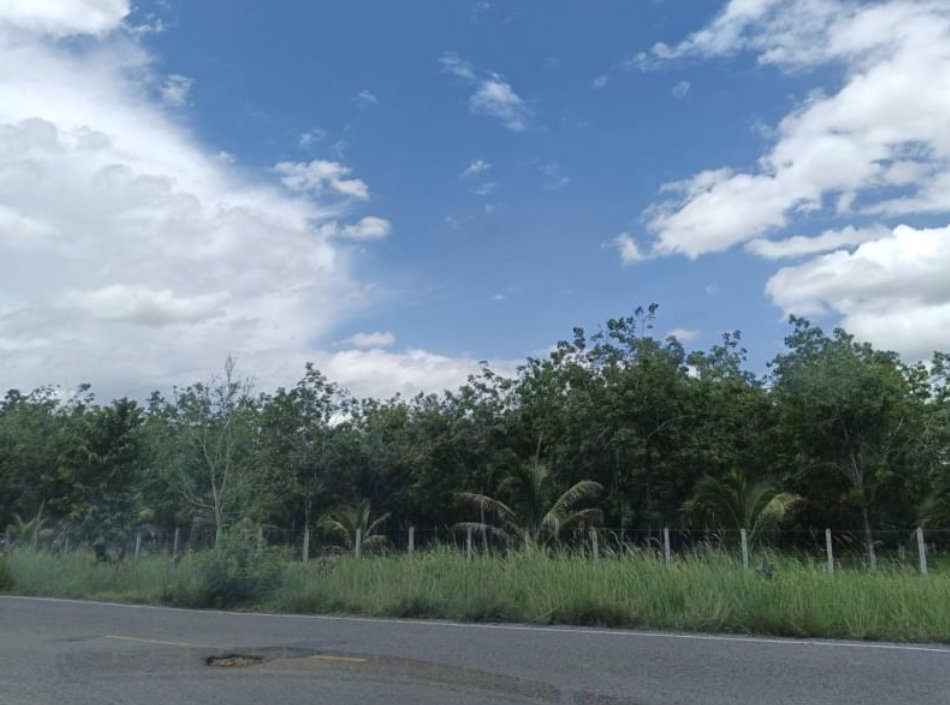 ขายที่ดิน117ตรว-ราคา149000บาท-ผ่อนวัน100บาท-