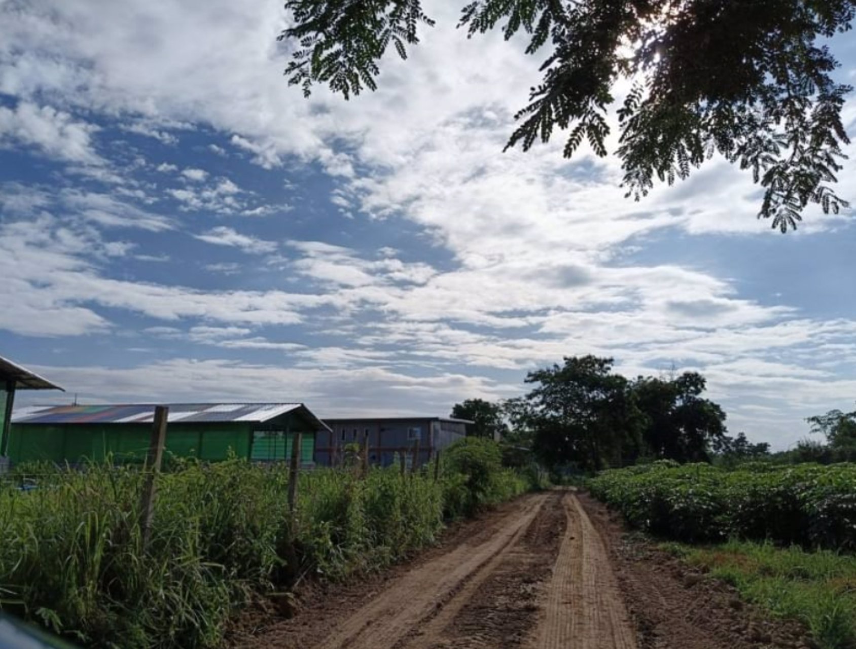 ขายที่ดิน-65ตรวติดถนน2ด้าน