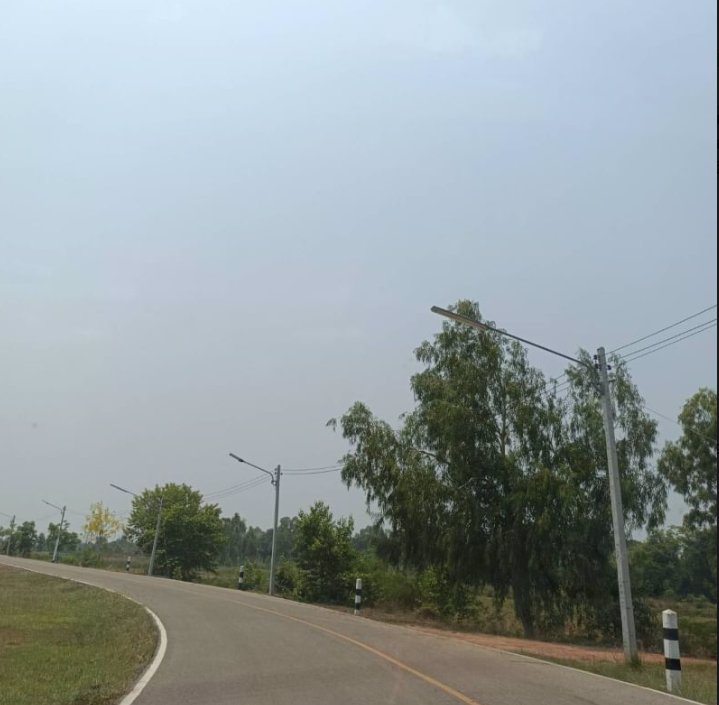 ขายที่ดิน-65ตรวติดถนน2ด้าน