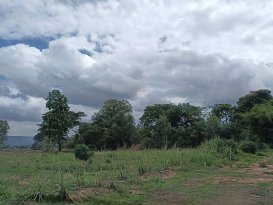 ขายที่ดิน-65ตรวติดถนน2ด้าน