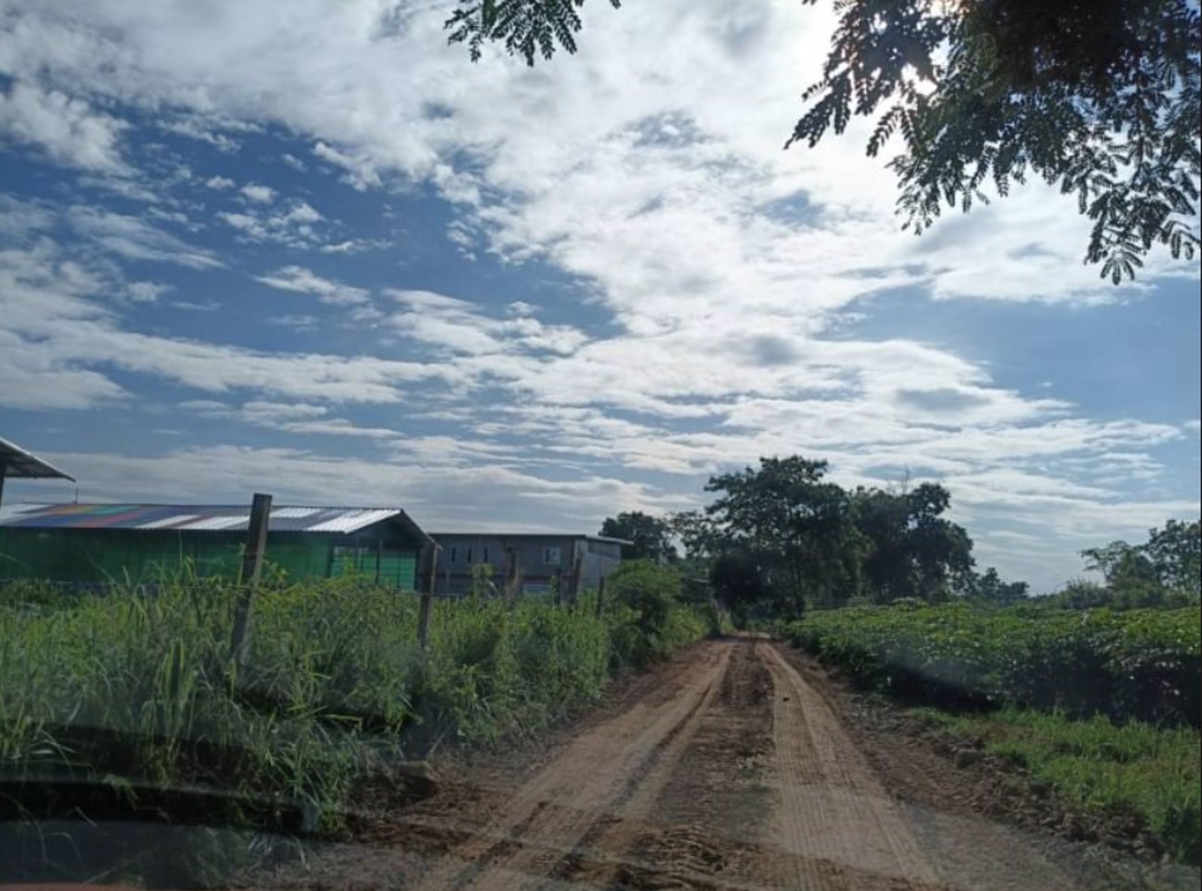 ขายที่ดิน-65ตรวติดถนน2ด้าน