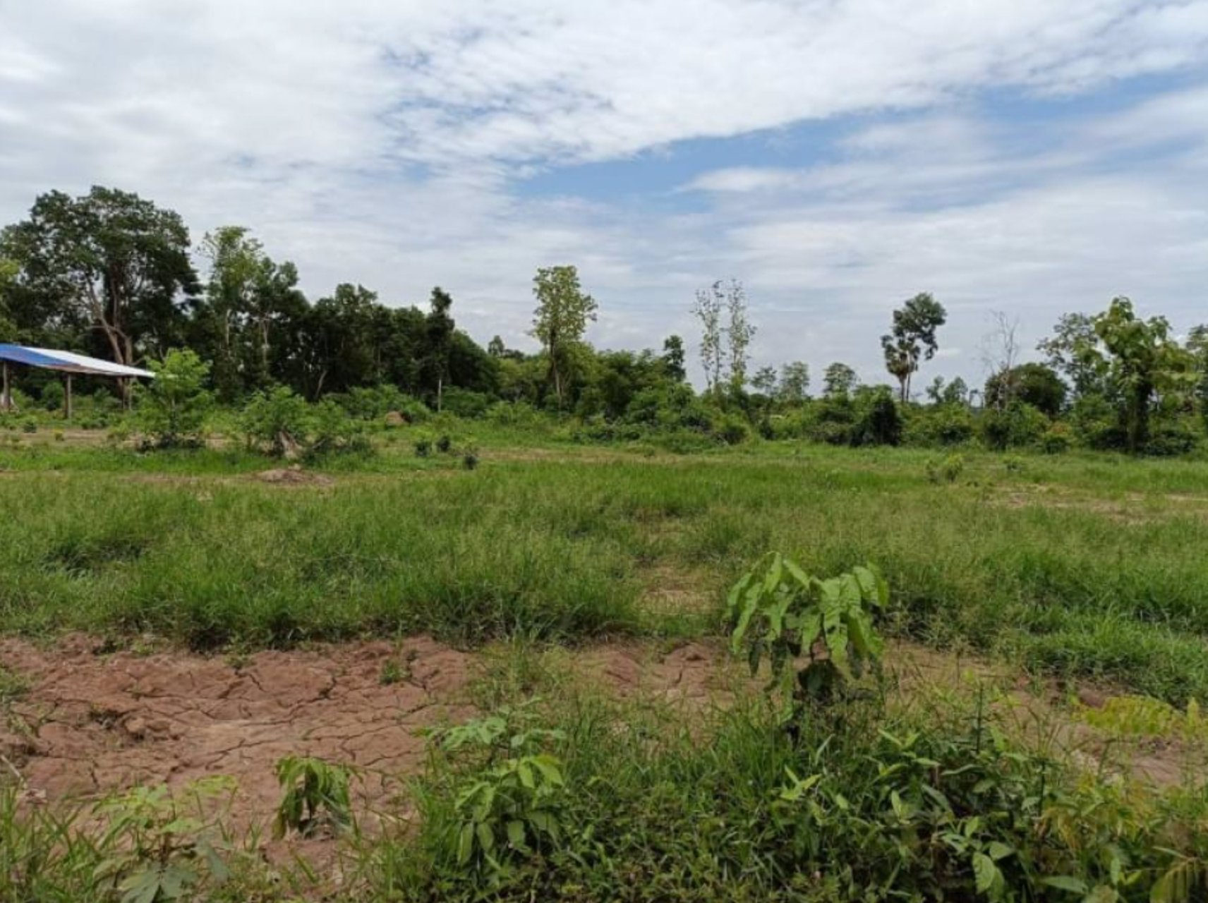 ขายที่ดิน-65ตรวติดถนน2ด้าน