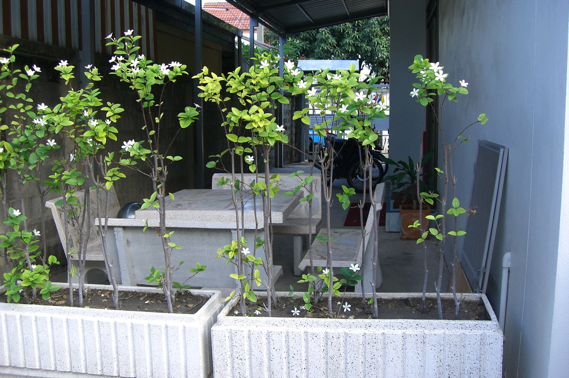 อพาร์ทเม้นท์-4-ชั้น-ห้องพักกว้างขวาง