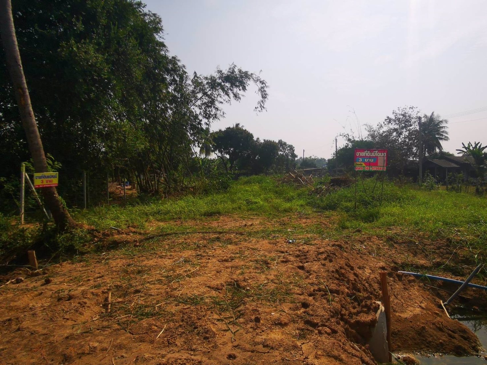 ขายที่ดินทำเลดี-3-งาน-ตบ้านสิงห์-อโพธาราม-ราชบุรี-ใกล้แหล่งชุมชน