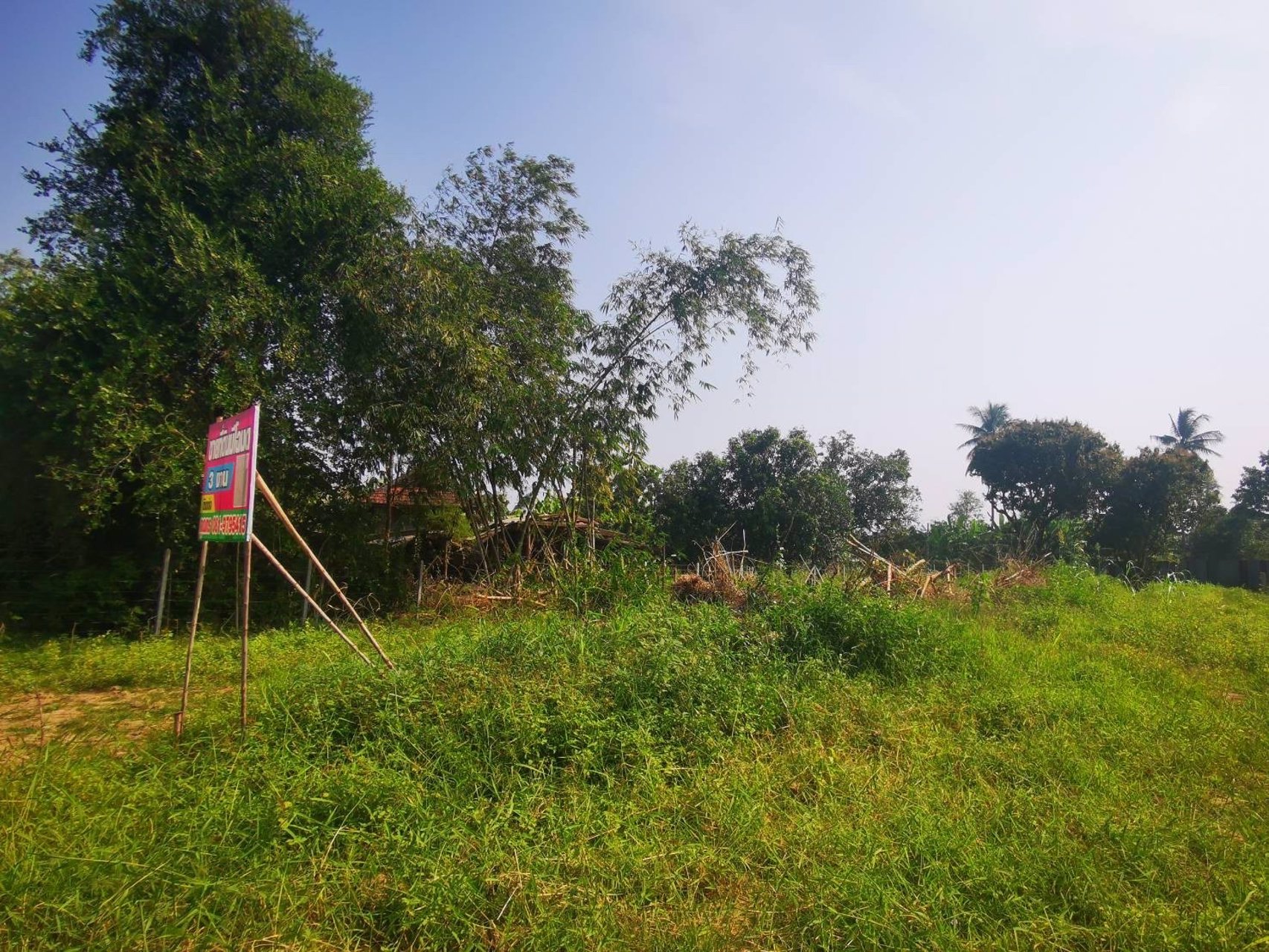 ขายที่ดินทำเลดี-3-งาน-ตบ้านสิงห์-อโพธาราม-ราชบุรี-ใกล้แหล่งชุมชน