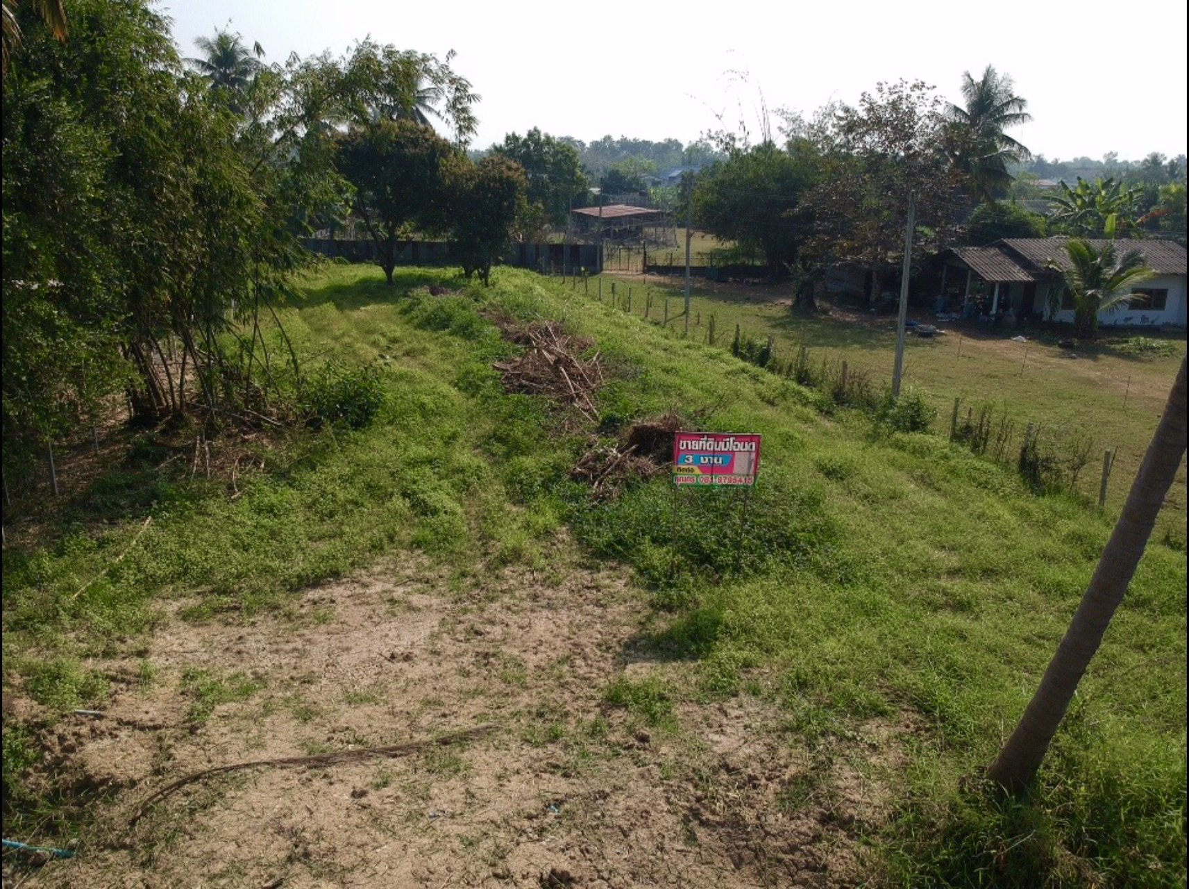 ขายที่ดินทำเลดี-3-งาน-ตบ้านสิงห์-อโพธาราม-ราชบุรี-ใกล้แหล่งชุมชน
