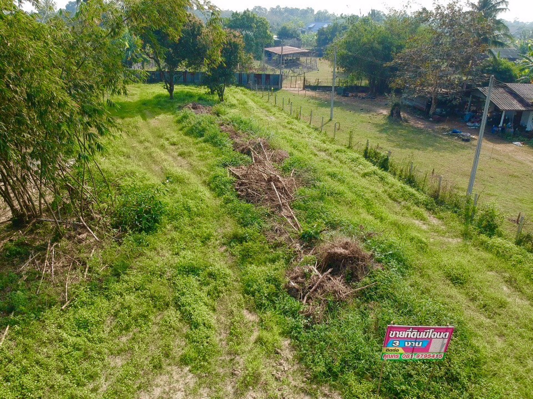 ขายที่ดินทำเลดี-3-งาน-ตบ้านสิงห์-อโพธาราม-ราชบุรี-ใกล้แหล่งชุมชน