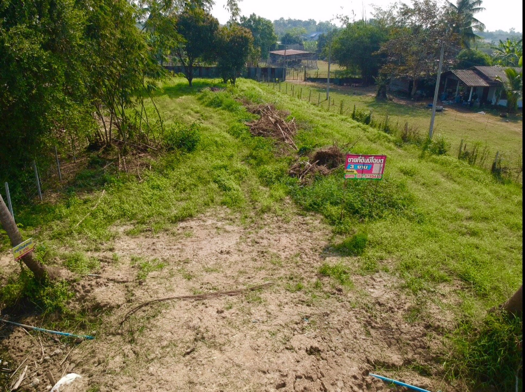 ขายที่ดินทำเลดี-3-งาน-ตบ้านสิงห์-อโพธาราม-ราชบุรี-ใกล้แหล่งชุมชน