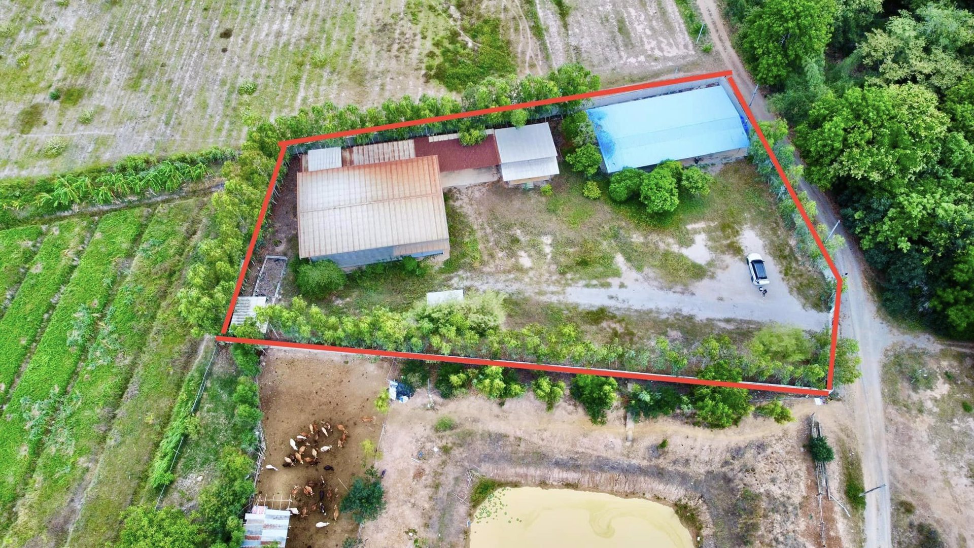 ขายด่วน-โกดัง-พร้อมสิ่งปลูกสร้าง-กาญจนบุรี