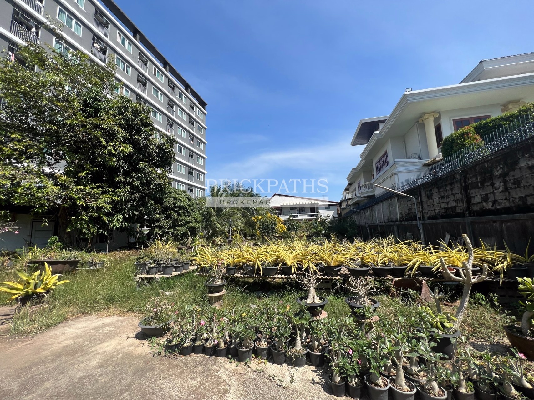 ขายที่ดินเปล่า-ซอยอ่อนนุช-14-สุขุมวิท-77-เนื้อที่-209-ตรว