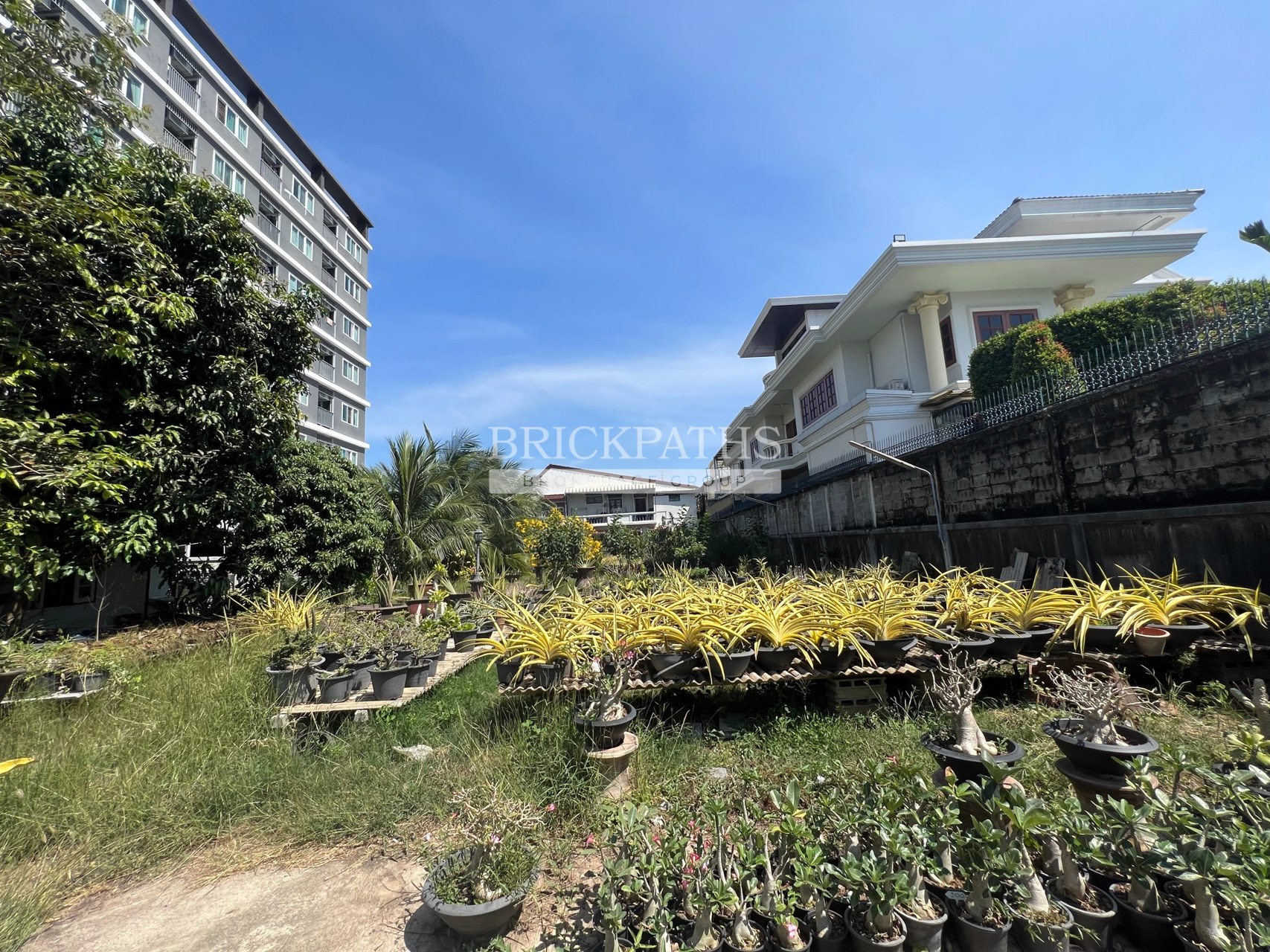 ขายที่ดินเปล่า-ซอยอ่อนนุช-14-สุขุมวิท-77-เนื้อที่-209-ตรว