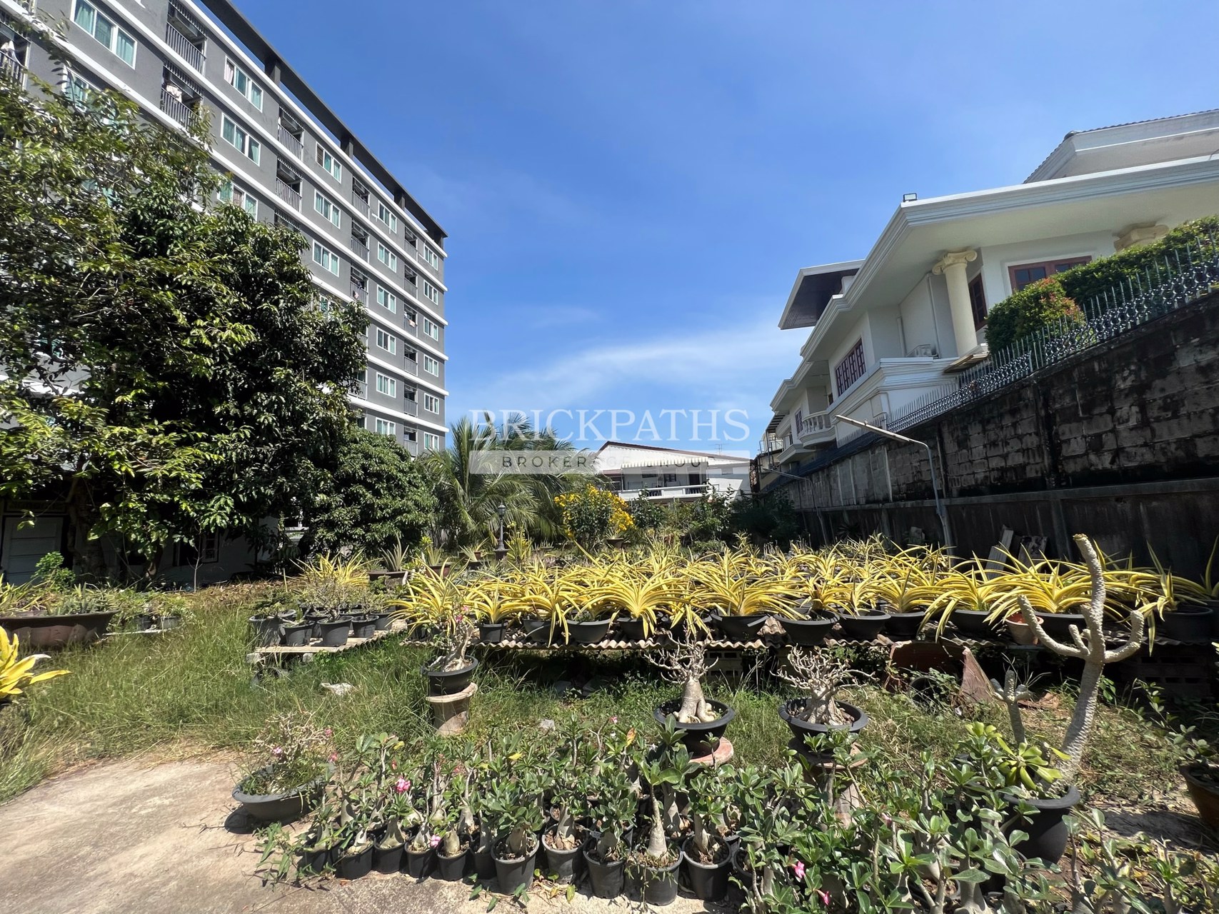 ขายที่ดินเปล่า-ซอยอ่อนนุช-14-สุขุมวิท-77-เนื้อที่-209-ตรว