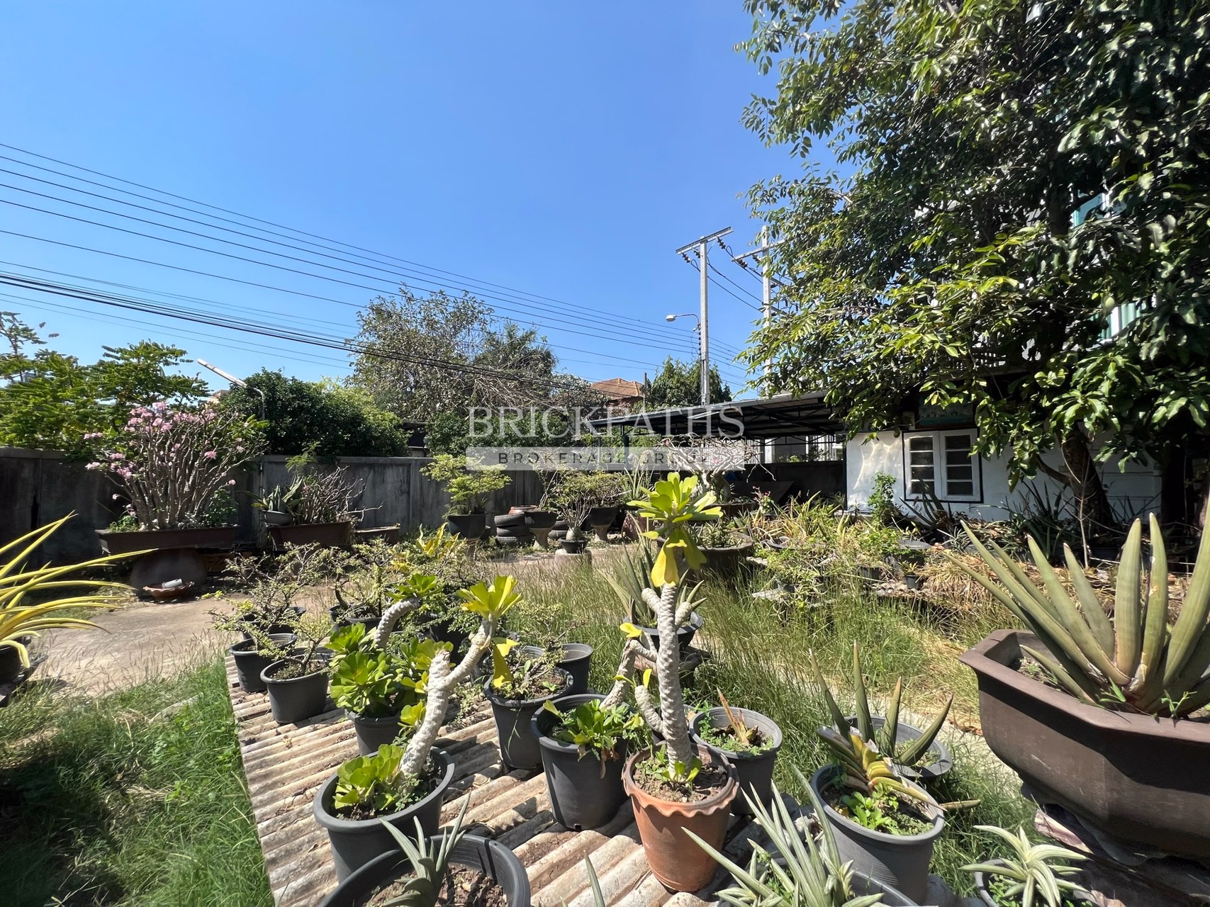 ขายที่ดินเปล่า-ซอยอ่อนนุช-14-สุขุมวิท-77-เนื้อที่-209-ตรว