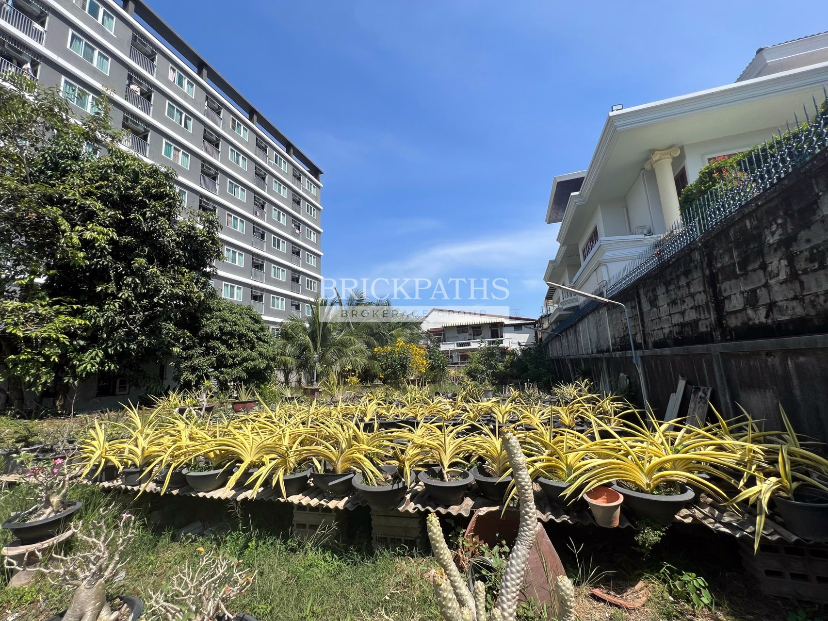 ขายที่ดินเปล่า-ซอยอ่อนนุช-14-สุขุมวิท-77-เนื้อที่-209-ตรว