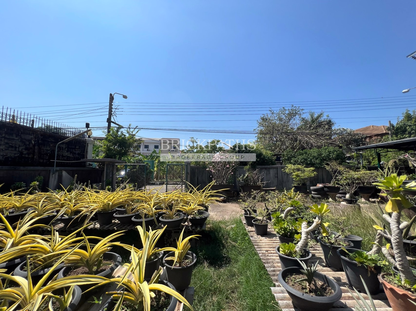 ขายที่ดินเปล่า-ซอยอ่อนนุช-14-สุขุมวิท-77-เนื้อที่-209-ตรว