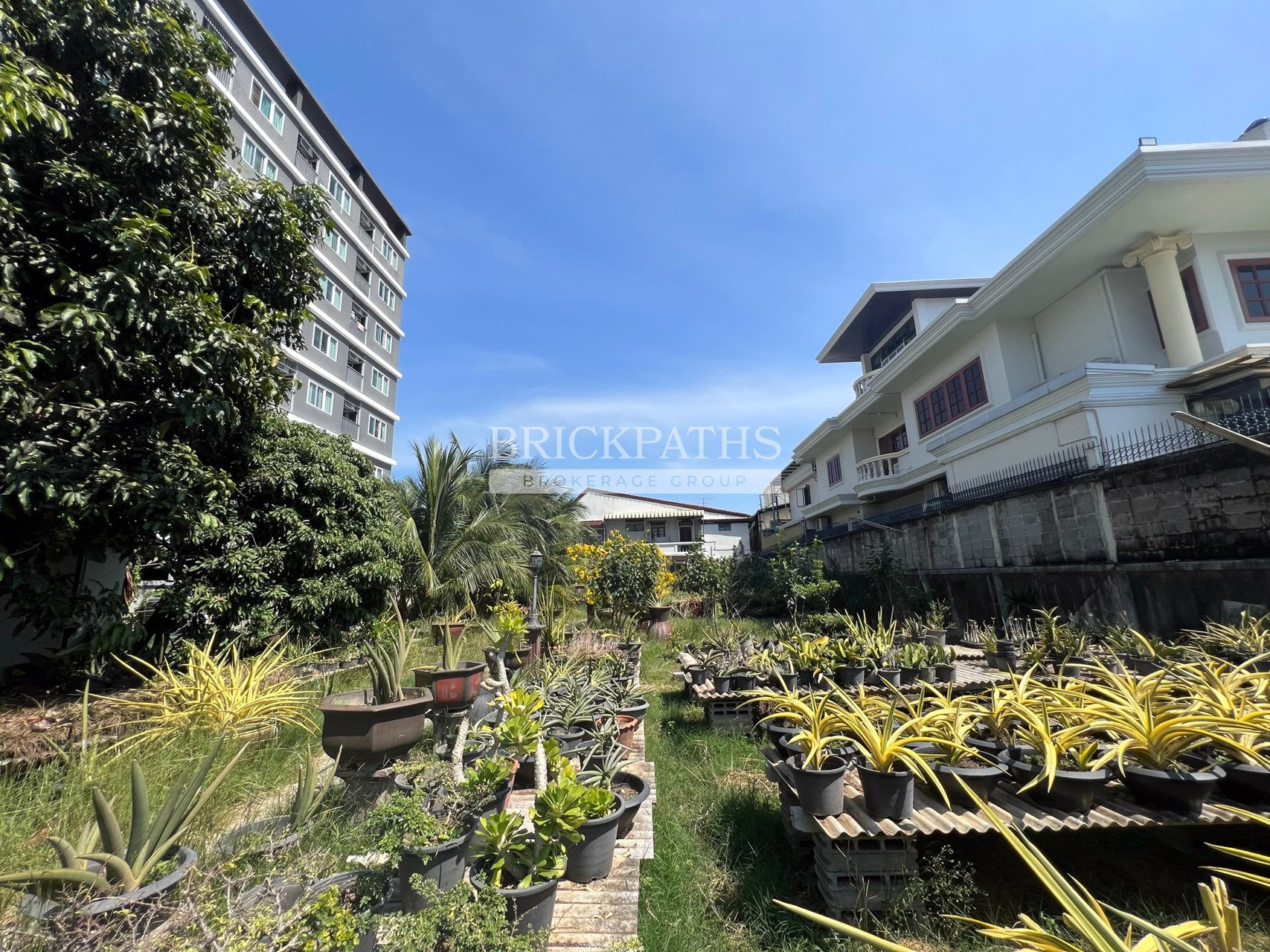 ขายที่ดินเปล่า-ซอยอ่อนนุช-14-สุขุมวิท-77-เนื้อที่-209-ตรว