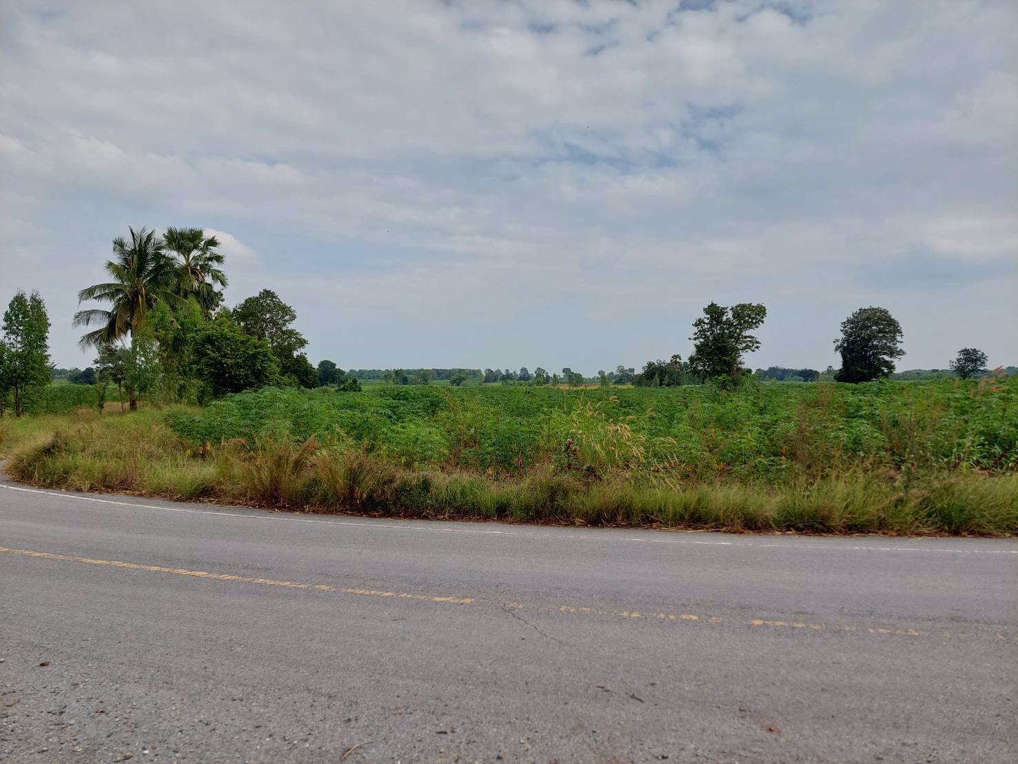 ขายที่ดิน-หน้าติดลาดยาง-หน้ากว้าง-ราคาประเมินดี-มีบ่อพักน้ำ