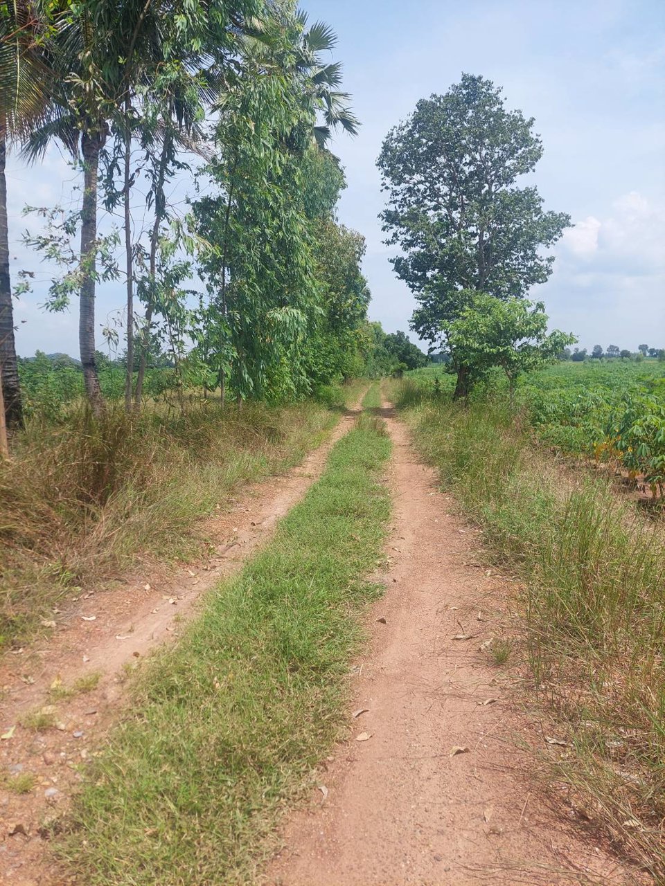 ขายที่ดิน-หน้าติดลาดยาง-หน้ากว้าง-ราคาประเมินดี-มีบ่อพักน้ำ