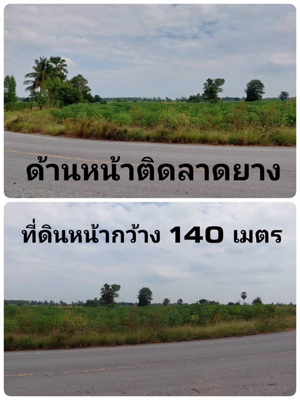ขายที่ดิน-หน้าติดลาดยาง-หน้ากว้าง-ราคาประเมินดี-มีบ่อพักน้ำ