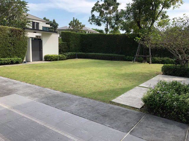 ah067-ขายบ้านลดาวัลย์-รัตนาธิเบศร์-ติดสนานีรถไฟฟ้าสายสีม่วง-บางรักน้อยท่าอิฐ