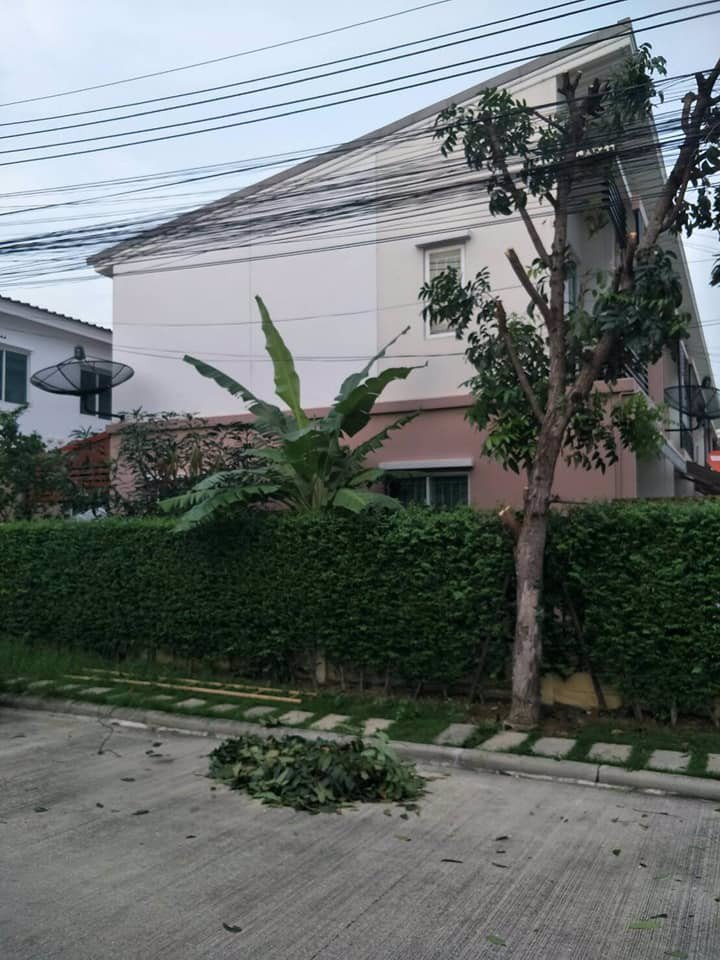 ให้เช่าทาวน์โฮม-พลีโน่-รัตนาธิเบศร์-ชัยฤกษ์-หลังมุม