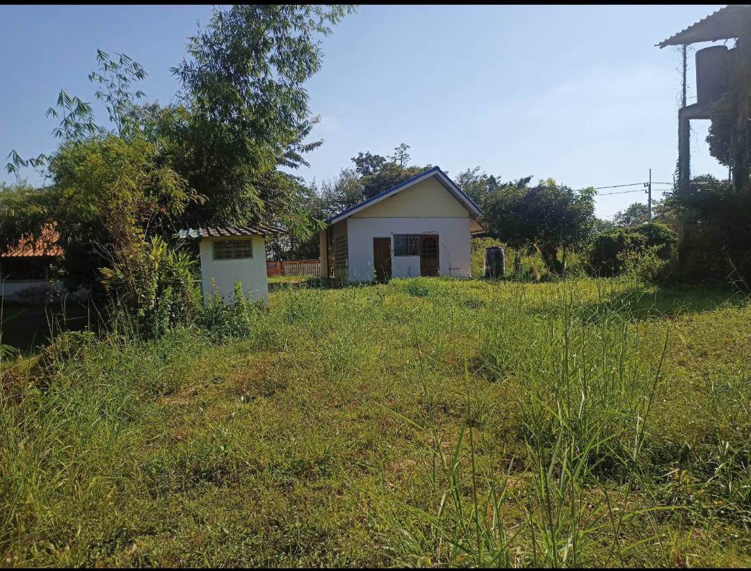 ขายบ้าน-ทำเลทอง-บ้านในเมือง-พื้นที่เยอะ-ไว้อยู่ตอนเกษียณ-หรือลงทุน