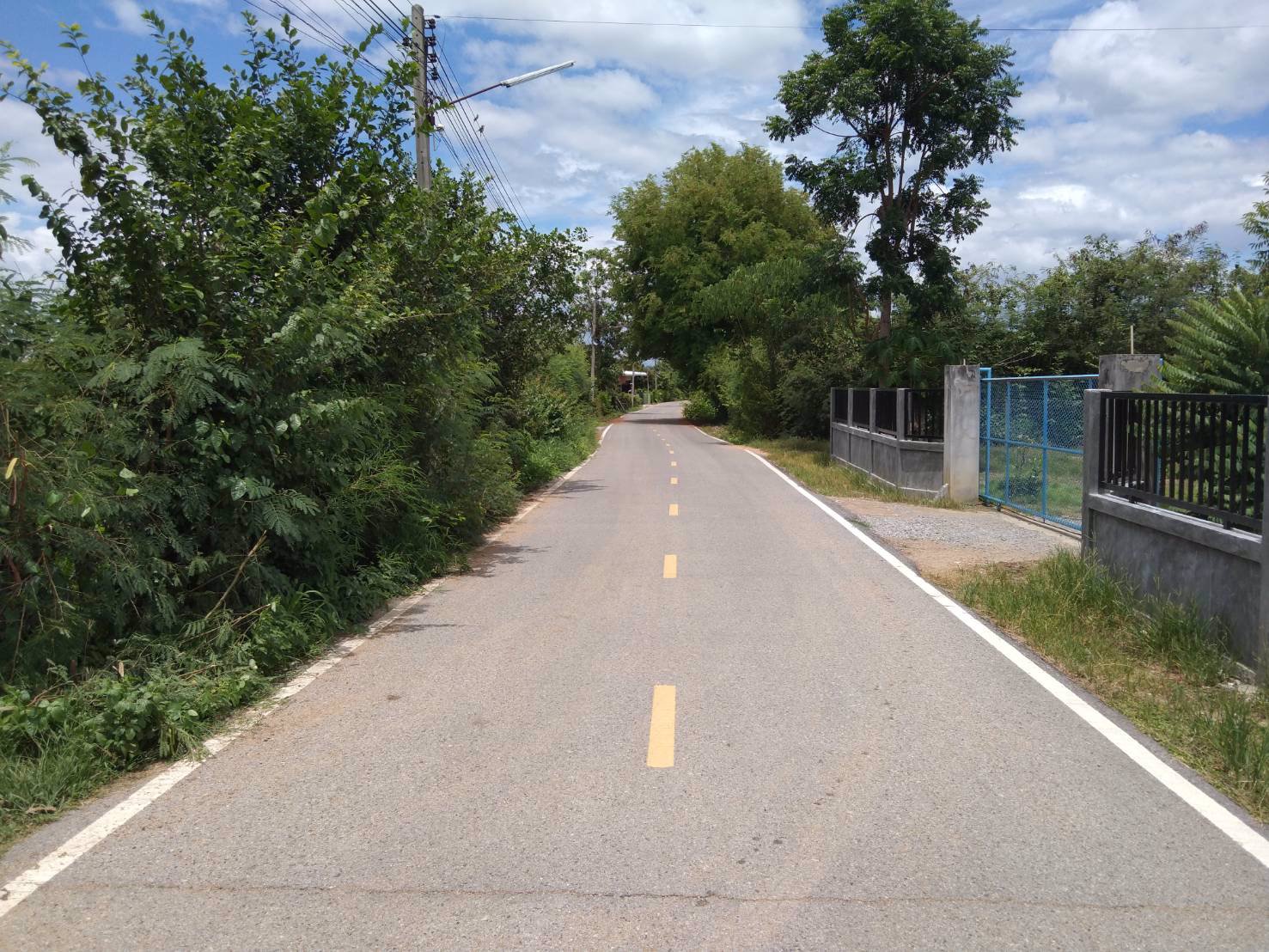 ขายที่สวนลำไย-4ไร่-ทางเข้าออกสะดวกสบาย-ติดถนนลาดยาง