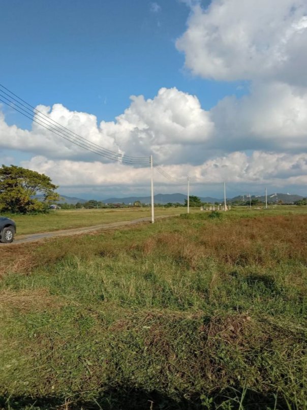 ที่ดินเปล่า-พร้อมแบ่งขายค่ะ-1ไร่-300วา200วา-100วา-50วา