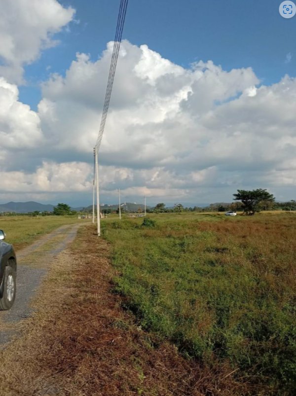 ที่ดินเปล่า-พร้อมแบ่งขายค่ะ-1ไร่-300วา200วา-100วา-50วา