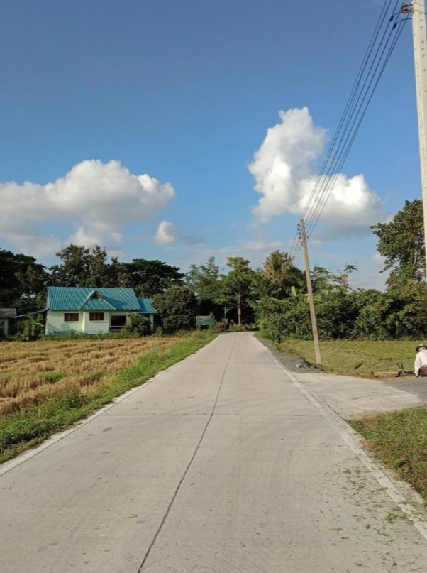 ที่ดินเปล่า-พร้อมแบ่งขายค่ะ-1ไร่-300วา200วา-100วา-50วา