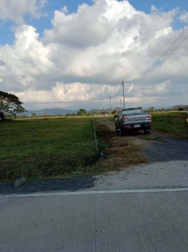 ที่ดินเปล่า-พร้อมแบ่งขายค่ะ-1ไร่-300วา200วา-100วา-50วา