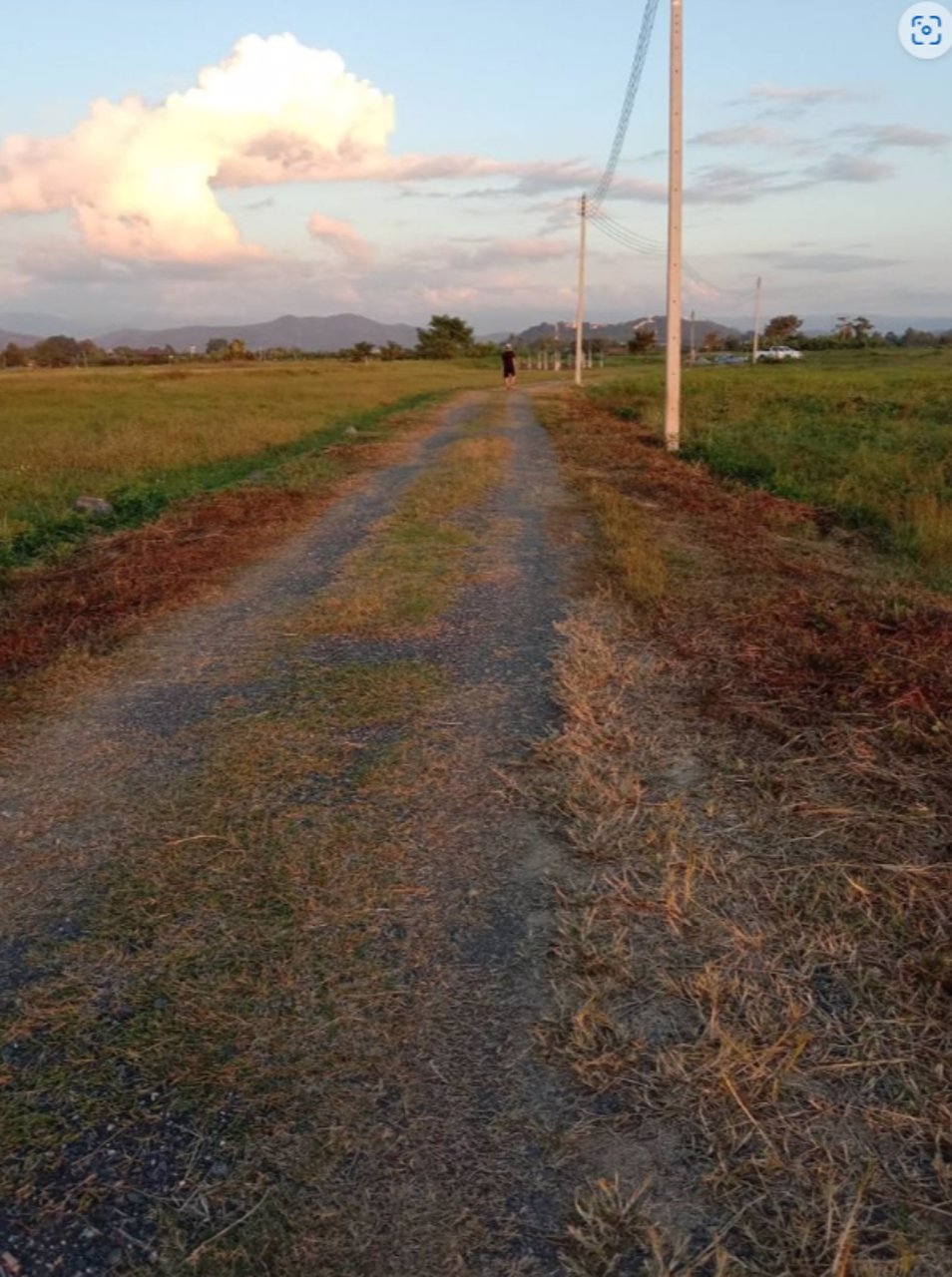 ที่ดินเปล่า-พร้อมแบ่งขายค่ะ-1ไร่-300วา200วา-100วา-50วา