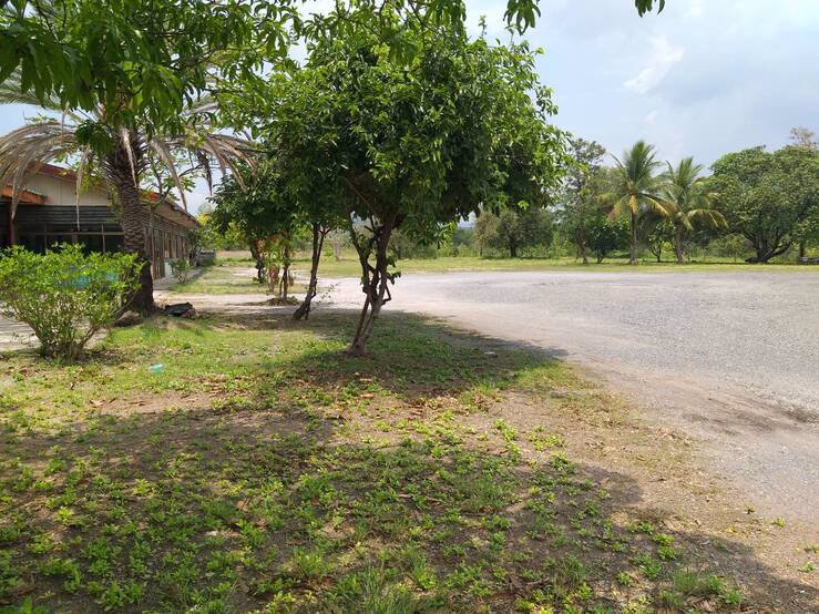 ขายที่ดินพร้อมอาคารชั้นเดี่ยว-พื้นที่-9-ไร่-32-ตารางวา-หน้ากว้างติดถนนสระบุรี-หล่มสักกว้าง-75-เมตร