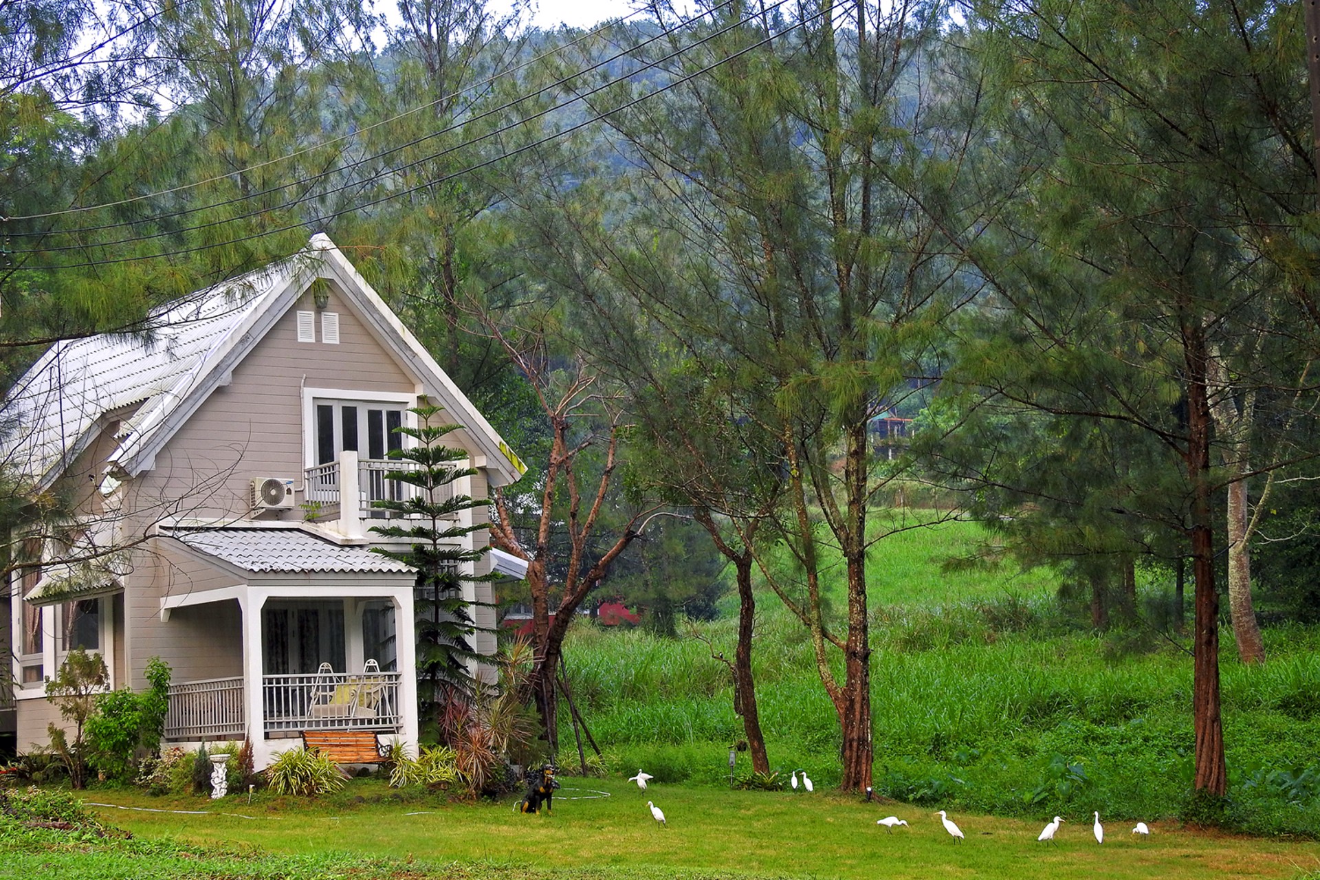 ขายด่วนบ้านเดี่ยวระยองบนเขาแต่ใกล้ทะเลหาดแม่รำพึง
