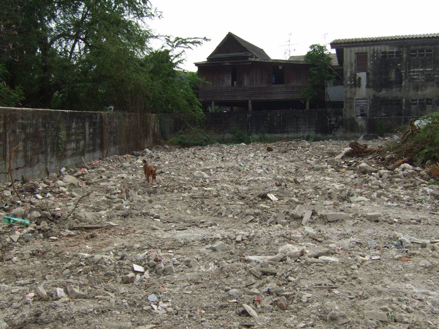 ขายที่ดิน-รัชดา-ราคาถูก-487-ตรว-31-ล้าน