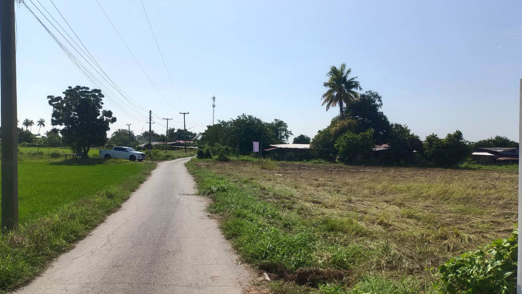 ขายที่ดิน-ถมเเล้ว-ราคาถูกๆ-หน้าติดสาธารณะ-ด้านข้างติดลำคลองคูน้ำ